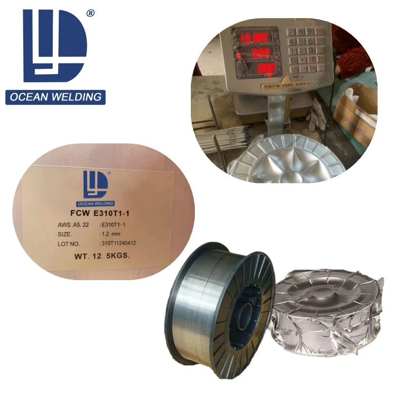 E310T1-1 125kg E310T1-1 125kg